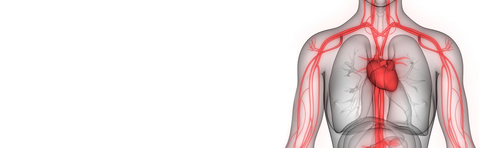 Circulatory Cardio-vascular System