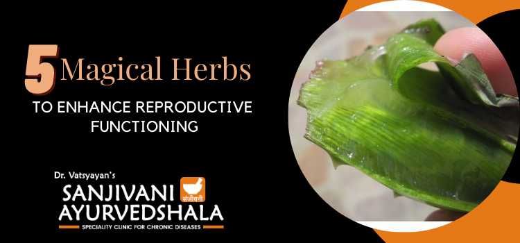 5 Magical Herbs To Enhance Reproductive Functioning