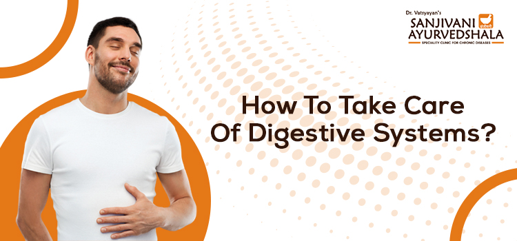 How To Take Care Of Digestive Systems?