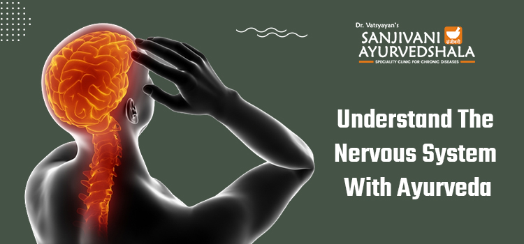 Take a deep understanding of the nervous system with Ayurveda